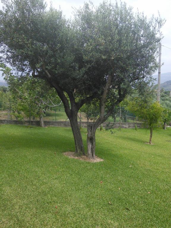 فندق La Selva أغروبولي المظهر الخارجي الصورة